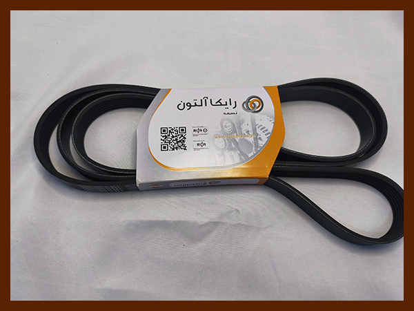 تسمه 6PK1564 رایکالتون